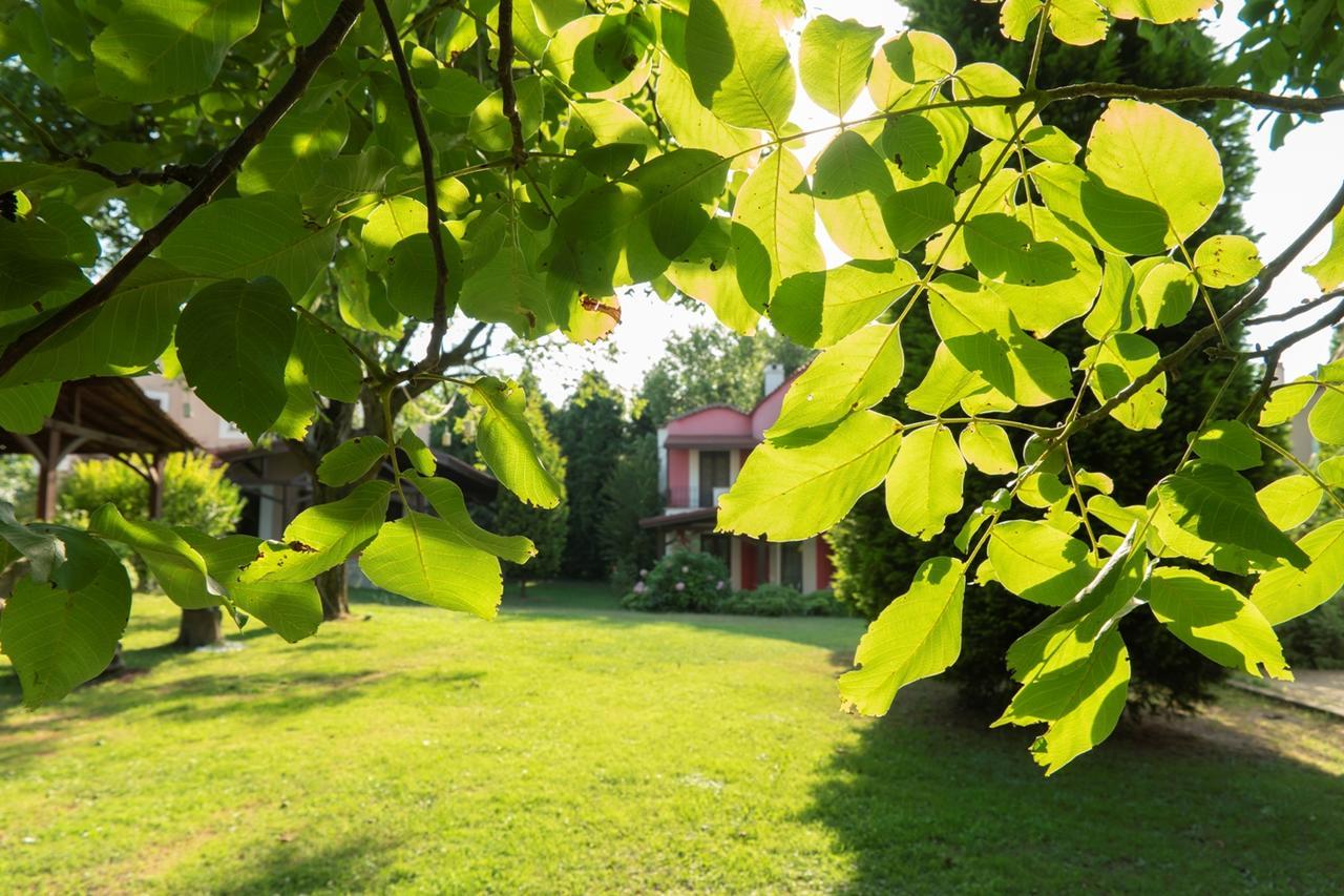 Kirkpinar Konaklari Villa Sapanca Kültér fotó